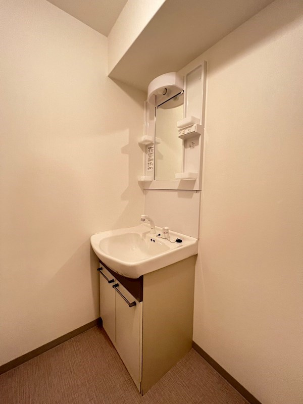 リバーライズ谷町4の洗面所