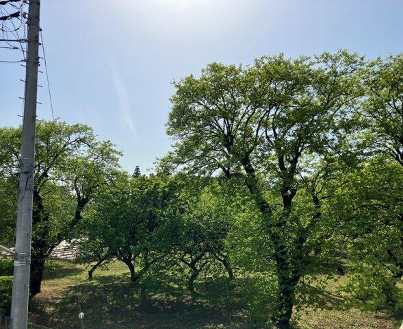 岡上戸建の展望