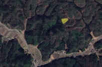 丹波篠山市大藤　山林　３の画像