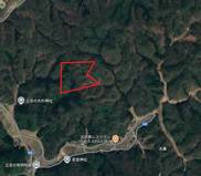 丹波篠山市大藤　山林　３の画像