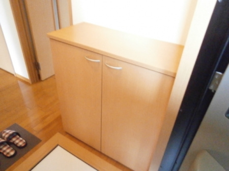 ペイサージュ上津【キャッシュバック対象】の玄関|明るい玄関です