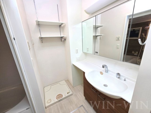 ソフィア B棟の洗面所