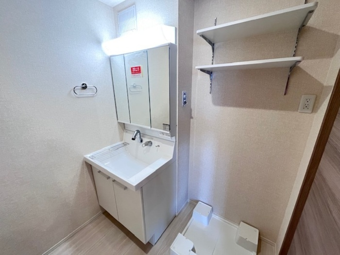 D-ROOM盛岡みたけの独立洗面台