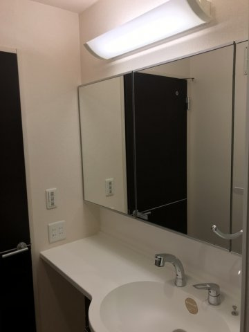 メゾン・カナールの洗面所