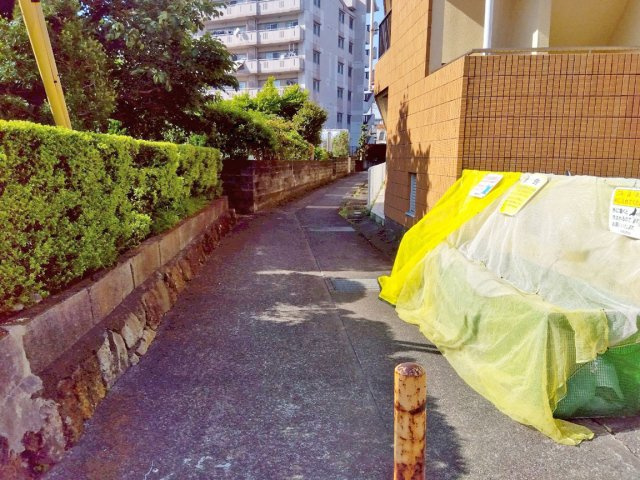 【その他】 | 沼津市大岡 売一棟マンション ES05663 | 沼津市大岡　前面道路（西側公道）