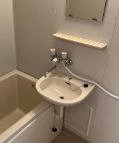 ハイツエクシードⅡの洗面所