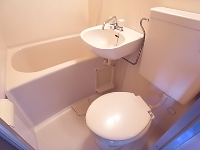 リッツ川原の洗面所