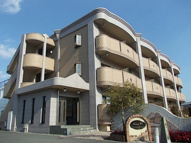 Ｇｒａｎ樹の画像