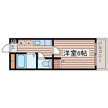 ゼルコバ上杉