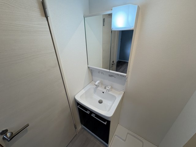 SUN MARE三木本町の洗面所
