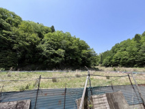 丹波篠山市大藤　山林４の画像