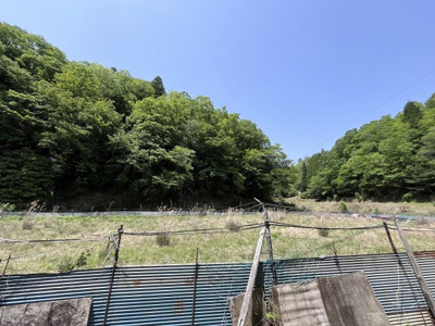 【外観】 | 丹波篠山市大藤　山林４