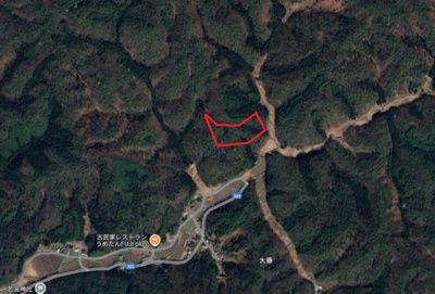 【周辺】 | 丹波篠山市大藤　山林４