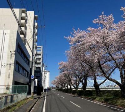 【周辺】 | さくらスクエア水戸