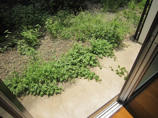 第２ニュータナベの庭