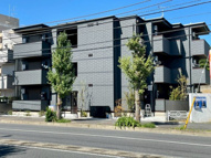 D Paina Hinoの画像