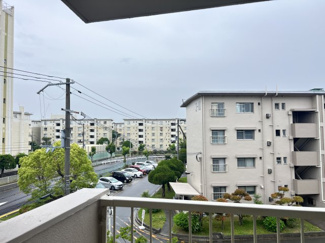 【展望】