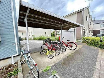 【その他】カサミアサウス