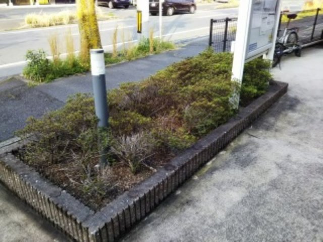 レオパレスディマンシュのその他