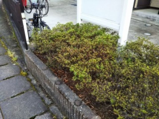 レオパレスディマンシュのその他