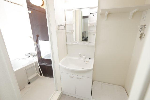 ハルティーニの洗面所