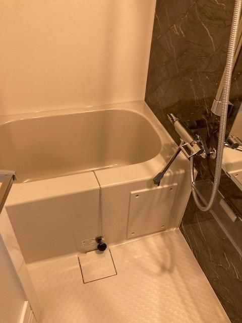 Ｓ－ＲＥＳＩＤＥＮＣＥ北戸田の浴室