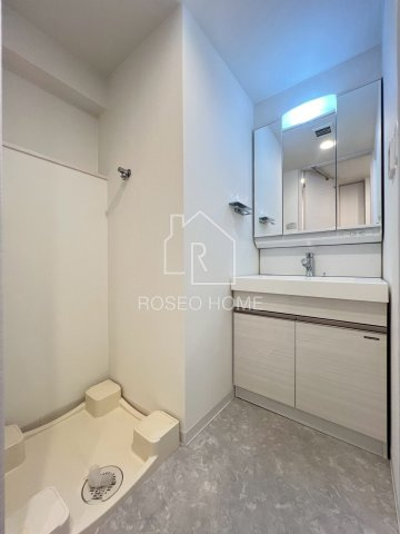 ラ・フォルム本町WESTの洗面所