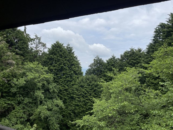 【展望】 | 東急天城高原別荘地　戸建