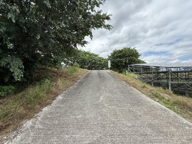 山崎倉庫の庭