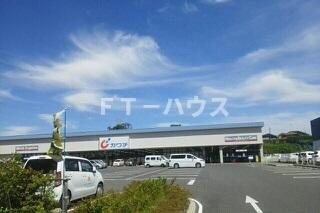 レアルのその他|その他