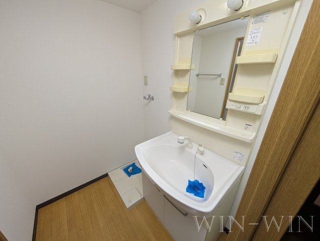 サンフィオーレ中郷の洗面所