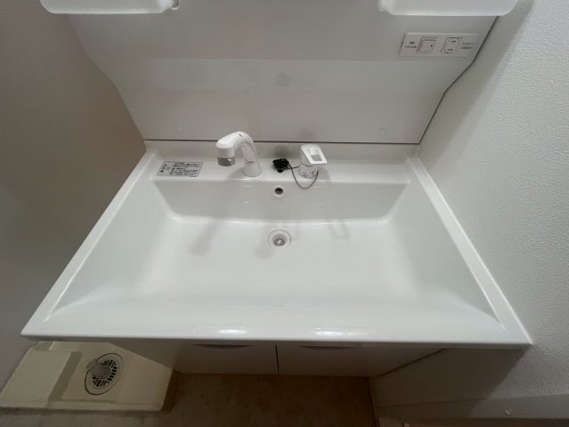 Alivis緑橋の洗面所