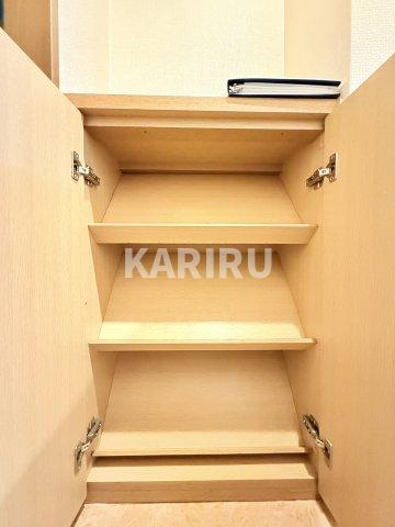 シャルマンハイム大淀の収納