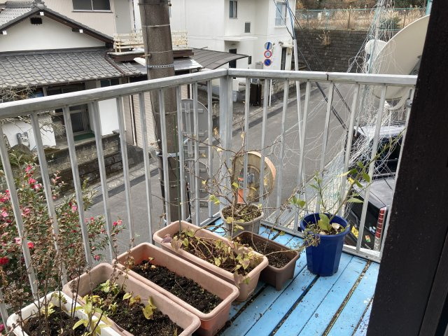 【バルコニー】の画像