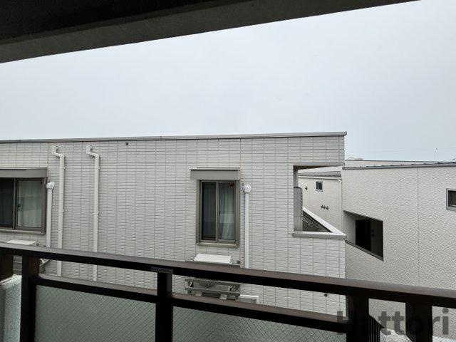 シャンピア蛍の展望