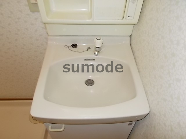 ゾナフーテフカザワの洗面所