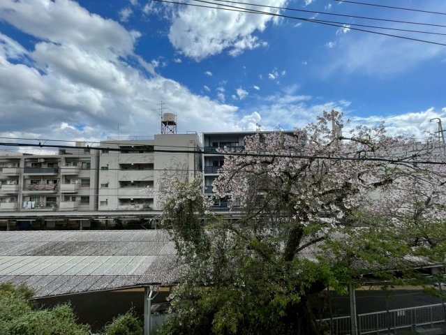 クレア岡本の展望