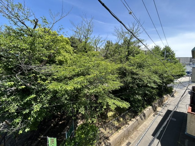 【展望】の画像