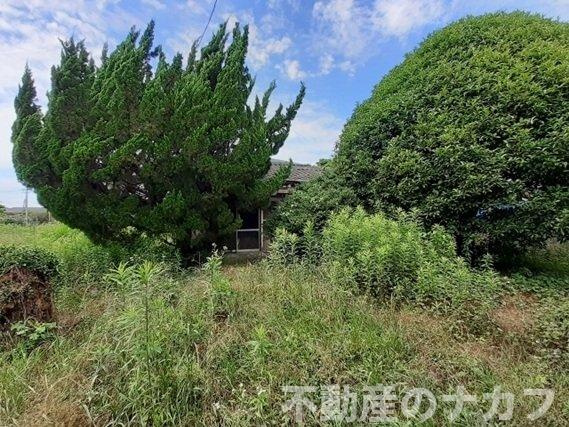 宇城市松橋町豊福の売地の外観