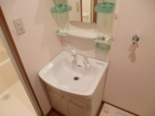 グリーンハイツ中島の洗面所