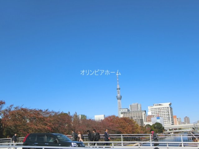 大島ファミール恩賜公園　6階　角　部屋　リ　ノベーションの周辺