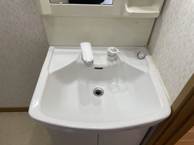 ラピナスⅠの洗面所