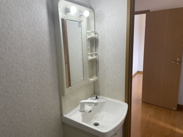 ラピナスⅠの洗面所