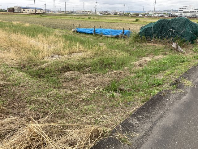 【周辺】の画像