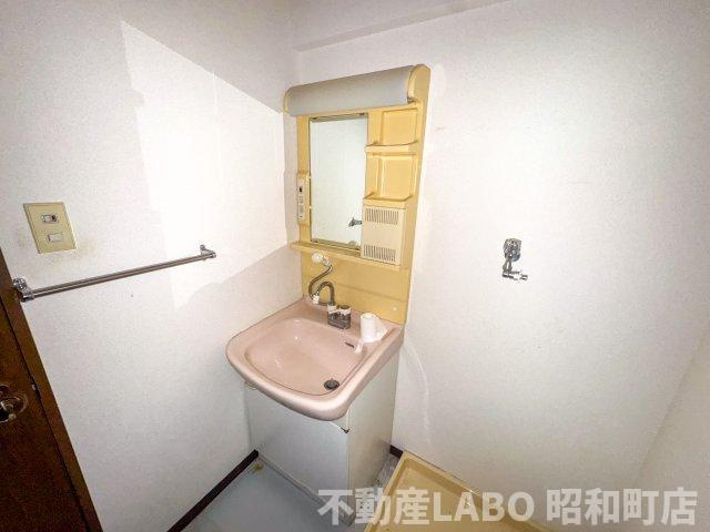 ラ･モードニシカワ２の洗面所