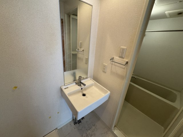 サンロイヤル柴原の独立洗面台