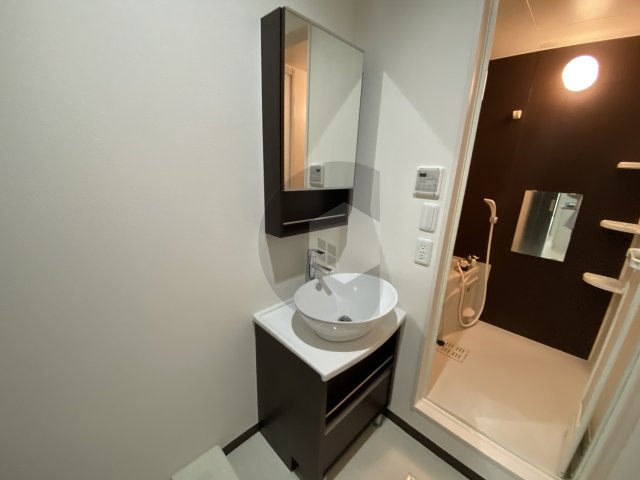 フジパレス若江岩田2番館の独立洗面台