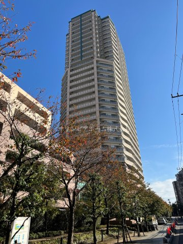 ライオンズタワー大島　23階　角　部屋　リ　フォーム済の外観