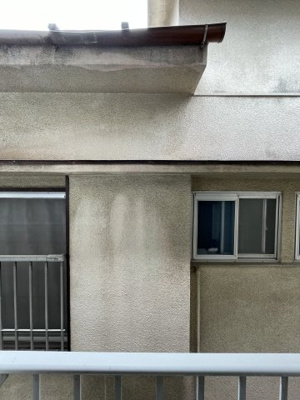 【展望】 | ペアパレス志村