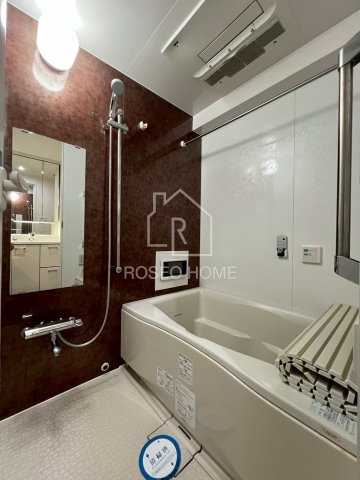 ラドゥセール中之島の浴室